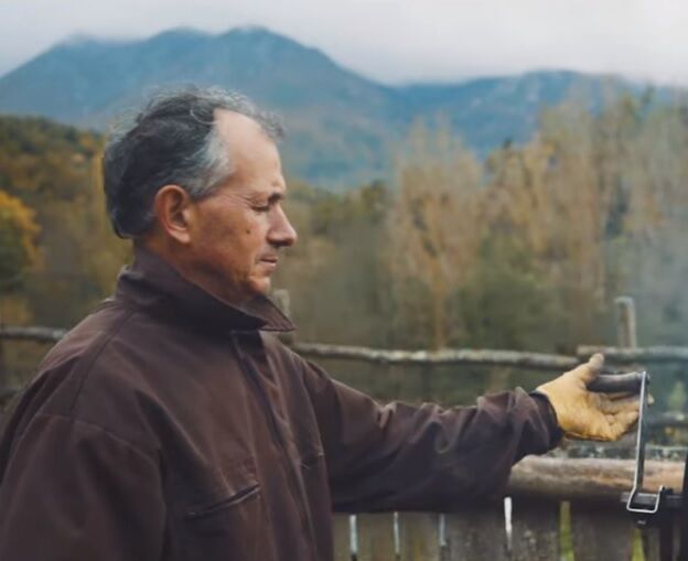 Castanya de Viladrau