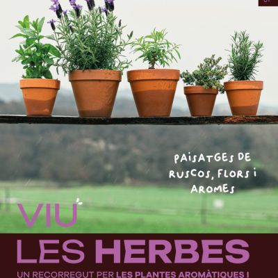 Cartell_page-0001-768x1087