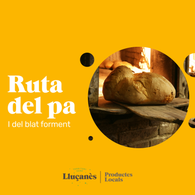 Diseño sin título (14)