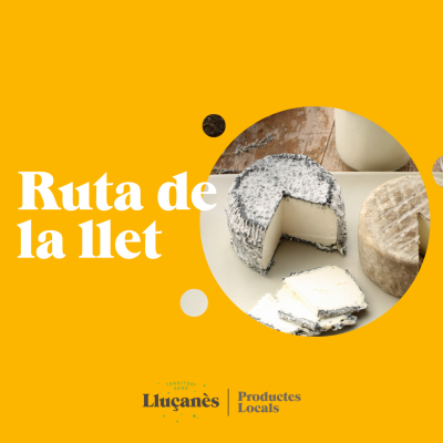 Diseño sin título (15)