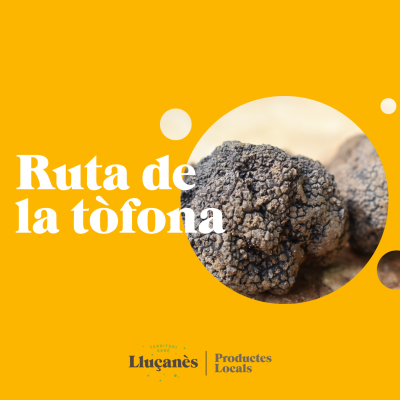 Diseño sin título (16)