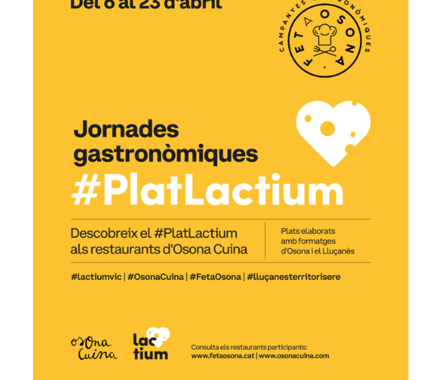 Diseño sin título (17)